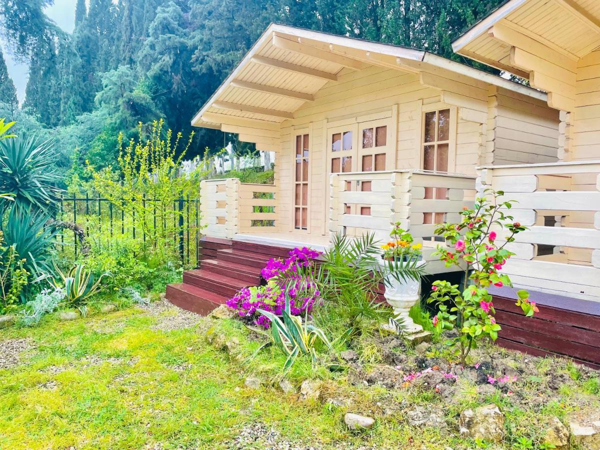 Vacation Home Apsar New Athos Exterior photo
